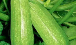 爆料吃瓜真人图片大全高清